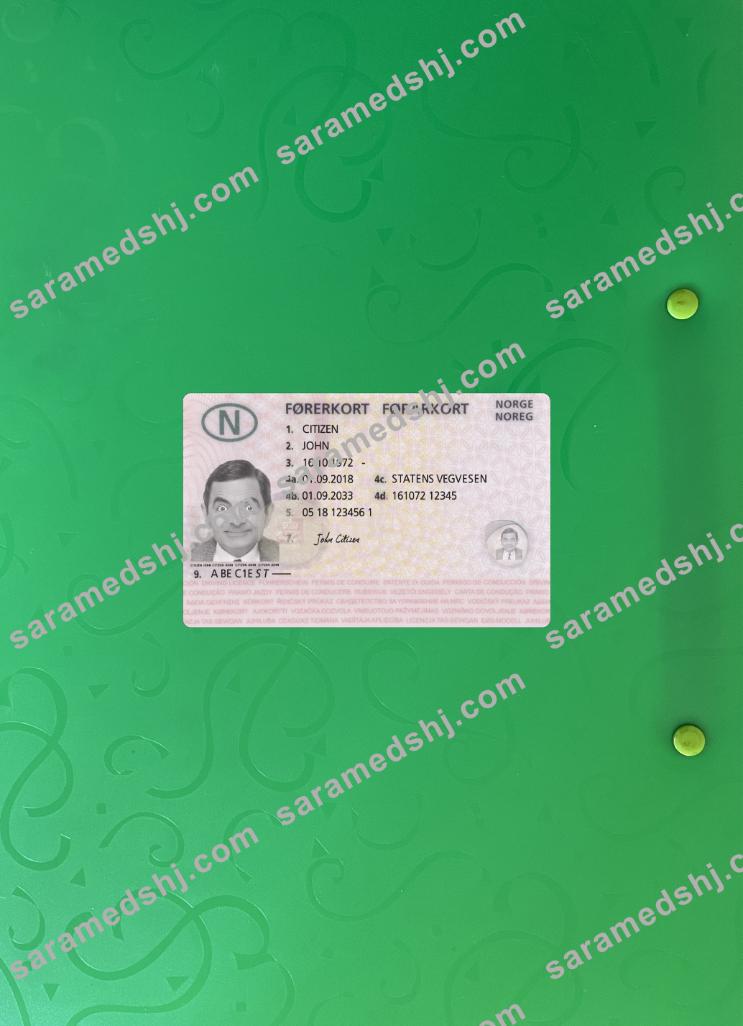 Norway driving license 2018-present photolook front